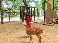 -南戴河国际娱乐中心