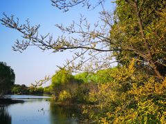 -昆山城市生态森林公园
