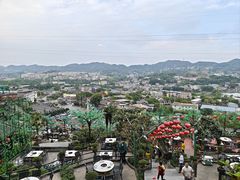 -枇杷园食为鲜火锅(南山店)