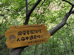 -青龙山生态文化旅游区(慈云寺)