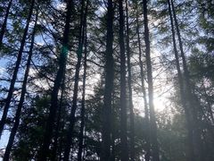 -亿利库布其七星湖沙漠生态旅游区