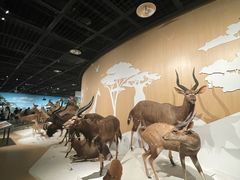 -陕西自然博物馆