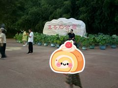 -莲花池公园