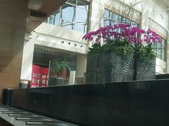-上海外滩茂悦大酒店