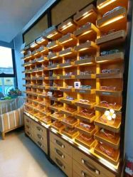 -睿宝儿科·眼科·口腔(杨浦新江湾城店)