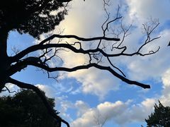 -叶家花园