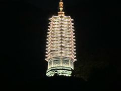 -深圳仙湖植物园