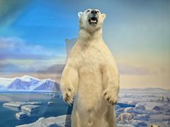 -陕西自然博物馆