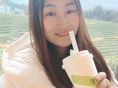 -白茶原·一片叶子