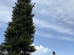 -新疆那拉提国家旅游度假区