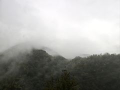 -四明山国家森林公园