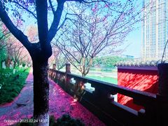 -望江楼公园