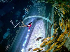 -华夏文旅海洋公园