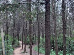 -北京西山国家森林公园