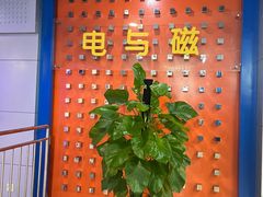 -山东省科技馆(新馆)