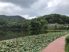 景点-广州市石门国家森林公园