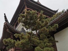 -黄鹤楼