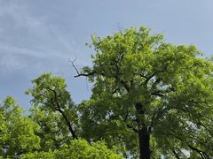 -报恩寺(平武县)