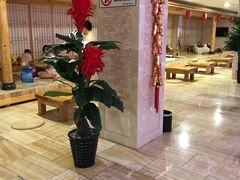 -碧中海汤泉汗蒸酒店