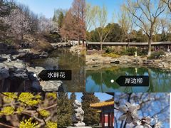 -北京市劳动人民文化宫