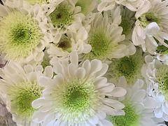 -L.C FLORA花予你(城西银泰城店)