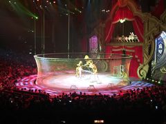 -珠海横琴长隆《卡卡虎奇遇记》