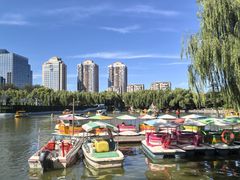 -团结湖公园
