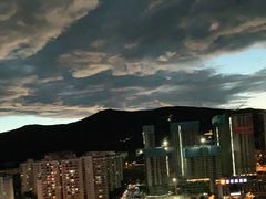 -长虫山生态公园风景林