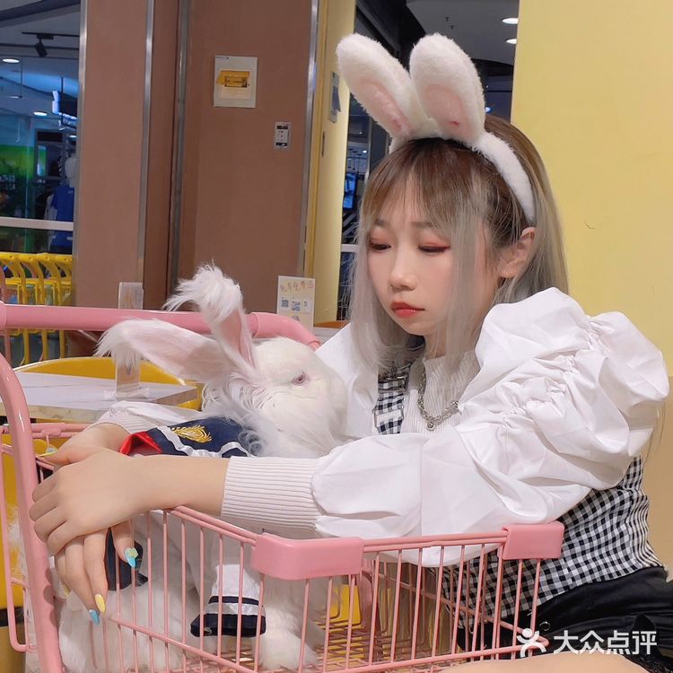 郑州探店｜Nice to meet U🐰爱玩萌兔体验馆