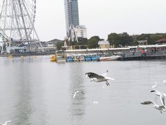 -蠡湖大桥公园