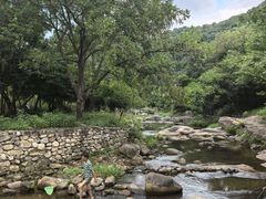 -武汉姚家山旅游景区