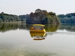 -番禺大夫山森林公园
