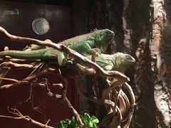 -多彩贵州城极地海洋世界