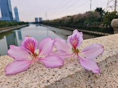 -广东财经大学(广州校区)