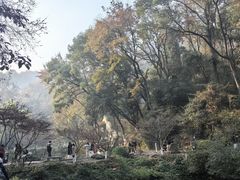 -岳麓山风景名胜区