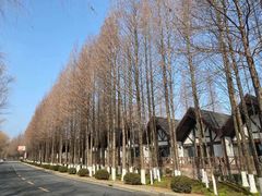 -太阳岛旅游度假区