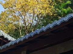 -阳台山森林公园