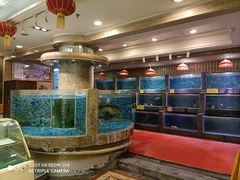 -顺峰海鲜酒楼(省府店)