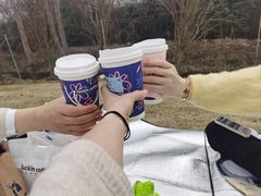 -南通洲际绿博园