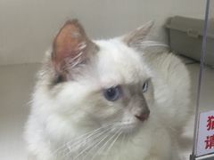 -国文影城(上海闸北店)