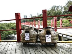 -北海金海湾红树林生态旅游区