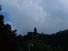 -南沙蒲洲花园
