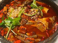 海鲜毛血旺-雀蓝川菜(奥体广场店)