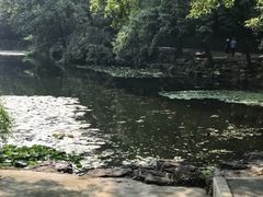 景点-灵谷景区