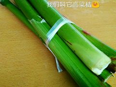 -崇明东平国家森林公园烧烤房车露营地