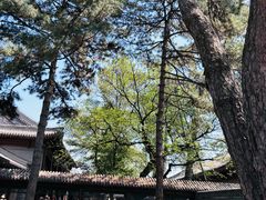 -承德避暑山庄景区