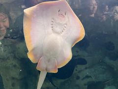 -珠海长隆海洋王国