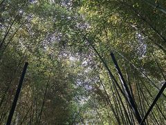 -红螺寺