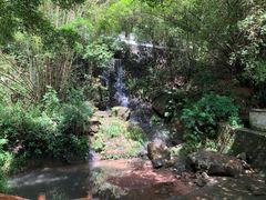 -大雁山风景区