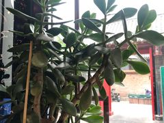 -伊隆斋(什刹海店)